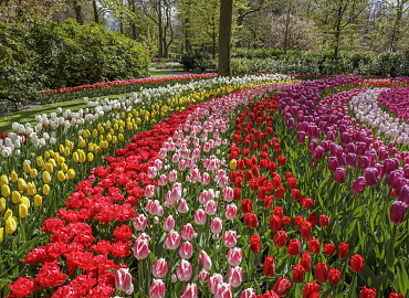 De Keukenhof