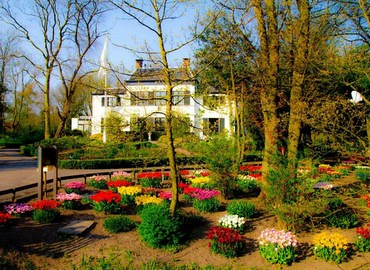 Mini Keukenhof in Kop Noord-Holland