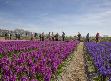 Lente in de Bollenstreek