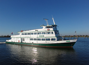 Zeehonden safari in Zeeland