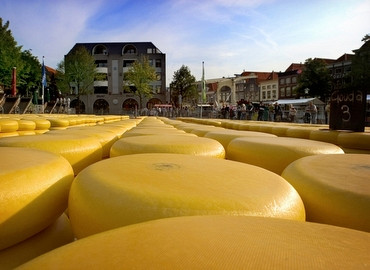 Kaasmarkt in Gouda of Alkmaar