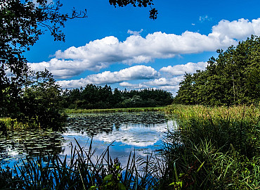 Varen door de Wieden en bezoek Giethoorn