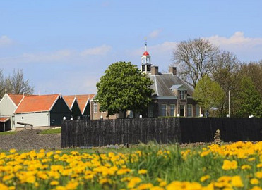 Witlof weetjes en Schokland