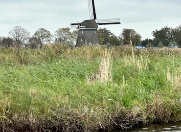 Groente kopen op de Broeker veiling
