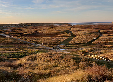 Vogeleiland Texel