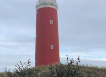 Vogeleiland Texel