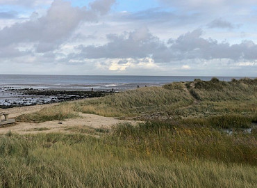 Vogeleiland Texel
