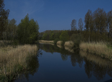 Ontdekkingstocht Biesbosch