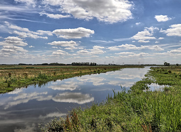 Ontdekkingstocht Biesbosch