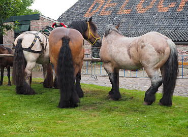 Ontdekkingen in het Maasdal