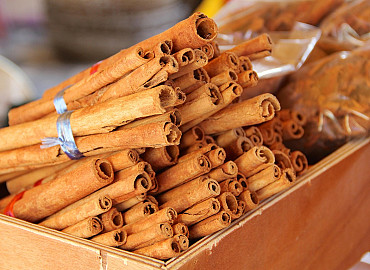 Varend naar de toeristenmarkt in Katwijk - NIEUW