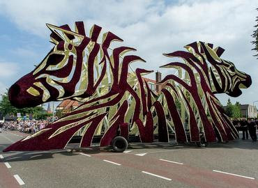 Bloemencorso Vollenhove