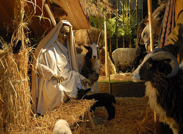 Kerststal in de Sint Jan en Bossche Bol