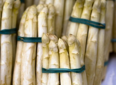 Asperge exursie bij de Santspuy