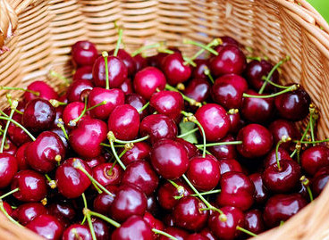 Heerlijk fruit en Hollandse historie