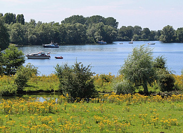 Brunch cruise Gouden Ham en de Maas