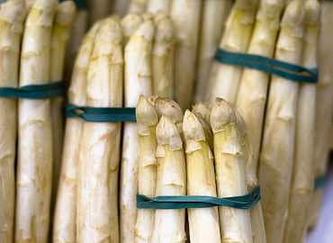 Asperges in Brabant en Baarle Nassau