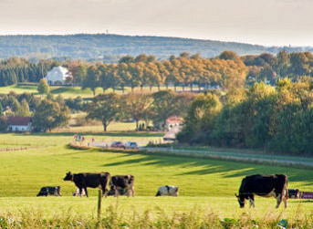 Ooijpolder en voordelig shoppen Kleef
