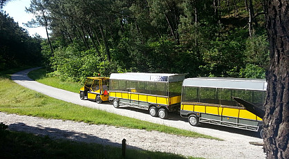 Per zonnetrein door de duinen