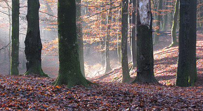 Expeditie Kroondomeinen of Posbank