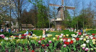 De Keukenhof