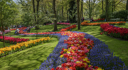 De Keukenhof