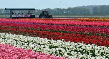 Land van Fluwel