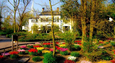 Mini Keukenhof in Kop Noord-Holland