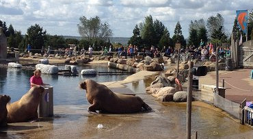 Dolfinarium Harderwijk