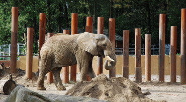 Ouwehand's Dierenpark