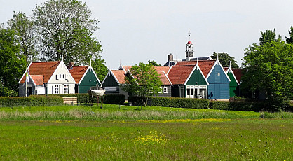 Witlof weetjes en Schokland