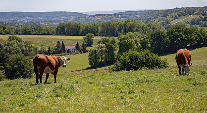 Zuid-Limburgs en Neerlands hoogste top