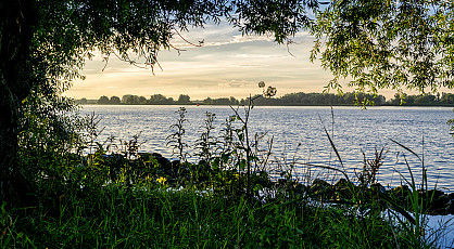 Ontdekkingstocht Biesbosch