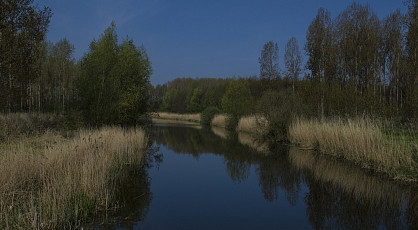 Ontdekkingstocht Biesbosch