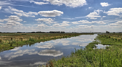 Ontdekkingstocht Biesbosch