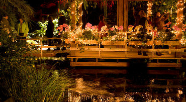Kaarsjesavond in de Orchideeënhoeve