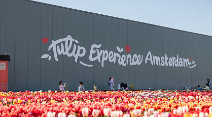 Kleurenpracht bij Tulip Experience
