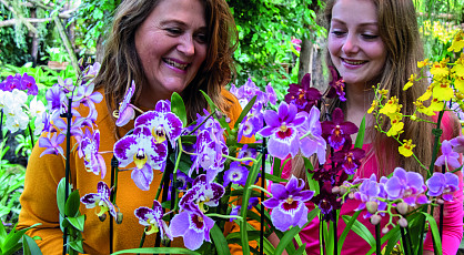 River of Dreams bij Pantropica - NIEUW