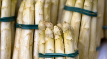 Asperge exursie bij de Santspuy