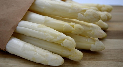 Asperge exursie bij de Santspuy