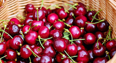 Heerlijk fruit en Hollandse historie