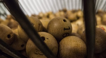 Muzikale bingo en de Holle Roffel