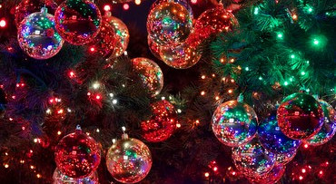 Kerstshow Global Garden en dineren in kerstsfeer