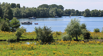 Brunch cruise Gouden Ham en de Maas