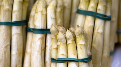 Asperges in Brabant en Baarle Nassau