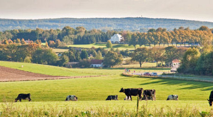 Ooijpolder en voordelig shoppen Kleef