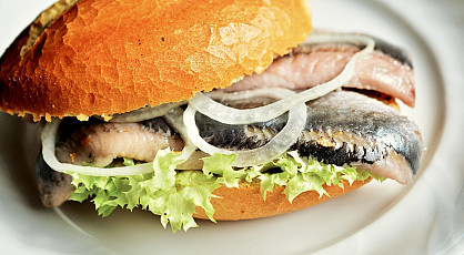 Haring, Beste Maatjes!